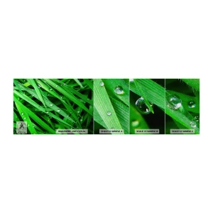 Photo Wallpaper Sample Premium Sand - Go Grren - Nature, Green grass, Garden - 100x30 cm