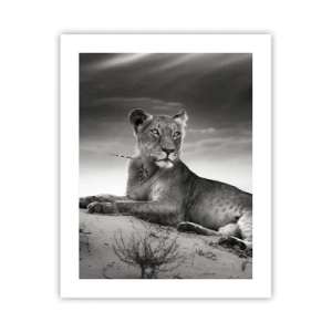 Poster - Queen of Desert Is Resting - 40x50 cm