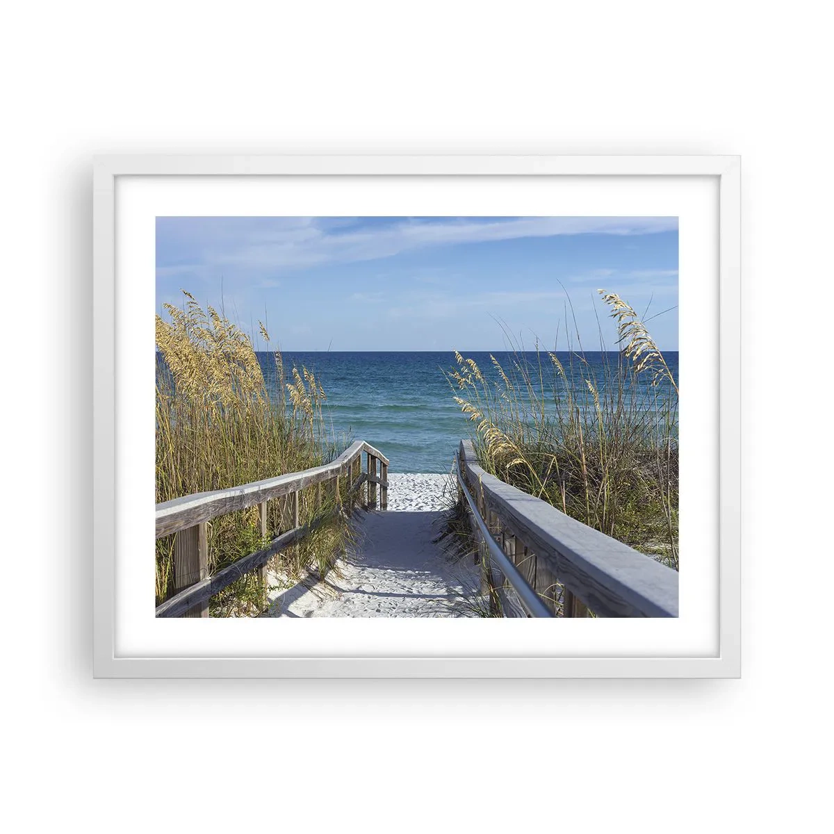 Poster in white frmae - In the Sun, out in the Wind - 50x40 cm