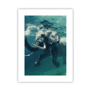 Poster - Everyone Likes to Swim - 30x40 cm