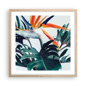 Poster in light oak frame - Birdy Bush - 50x50 cm