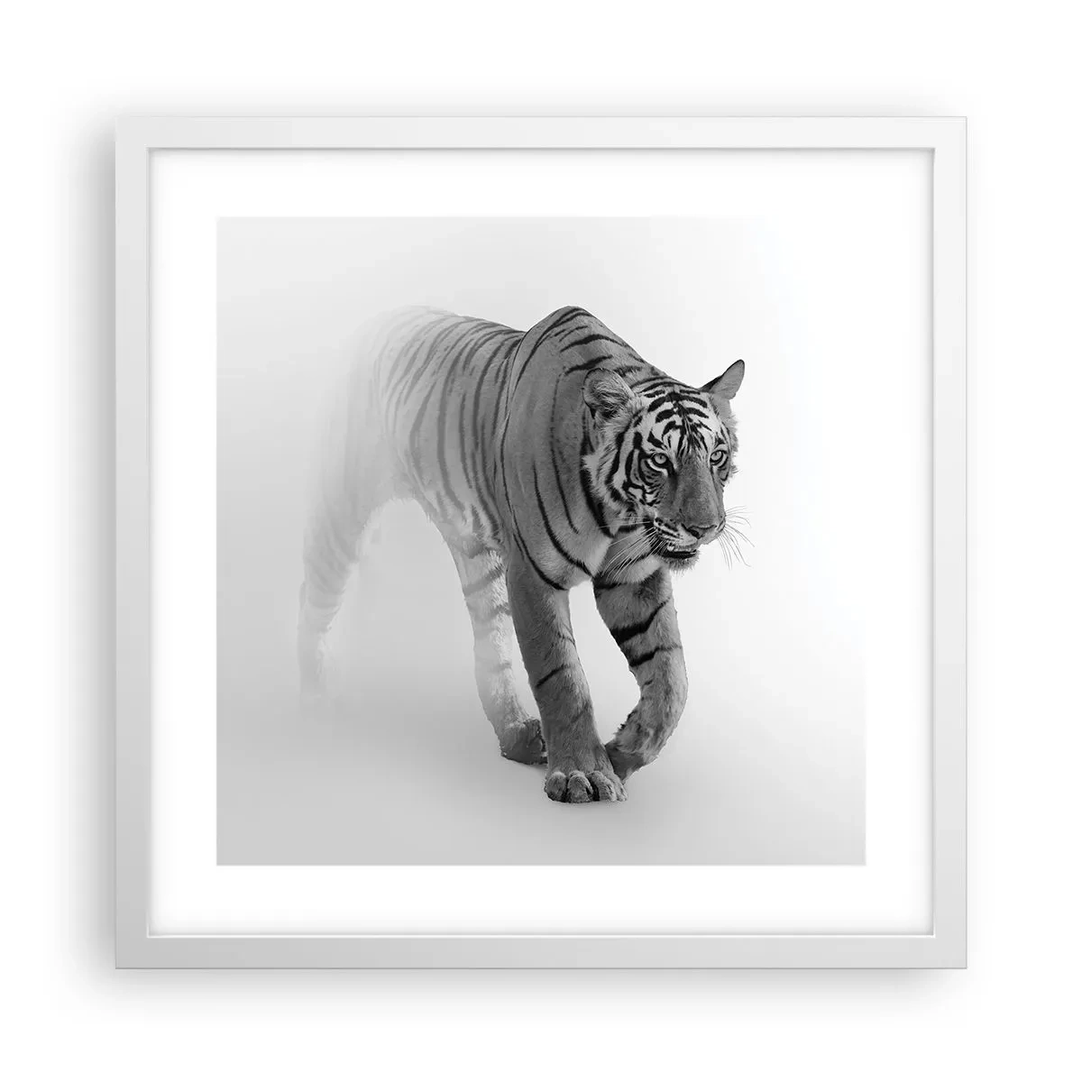 Poster in white frmae - Crouching in Fog - 40x40 cm