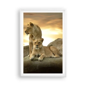 Poster in white frmae - Royal Majesty - 61x91 cm
