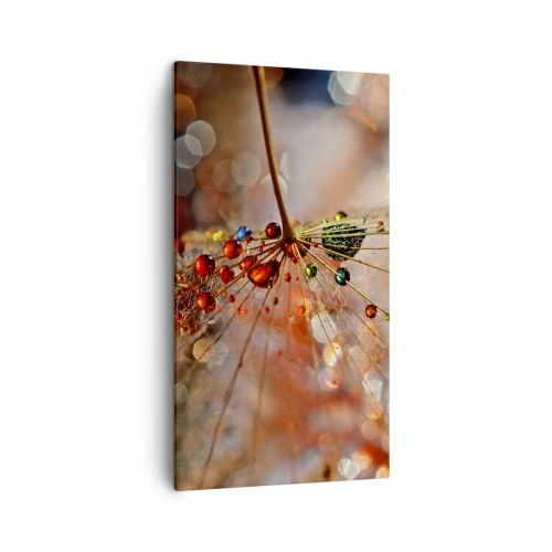 Canvas picture - Strung on a Spider's Web - 45x80 cm