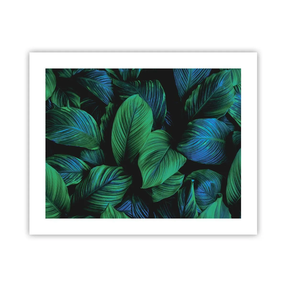 Poster - In a Green Crowd - 50x40 cm