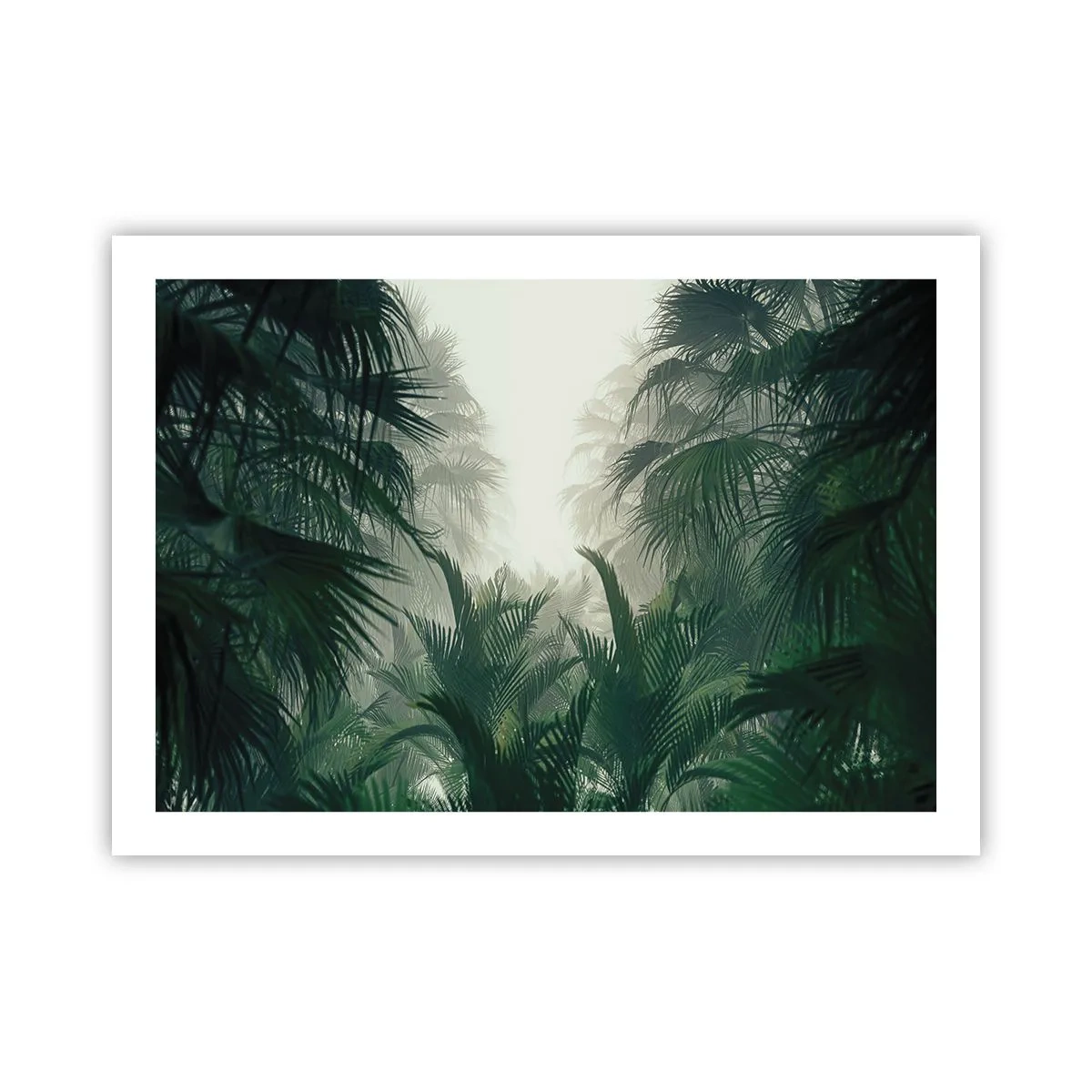 Poster - Tropical Secret - 70x50 cm