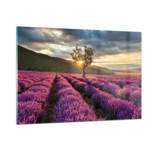Glass picture - Lilac Coloured Aroma - 120x80 cm