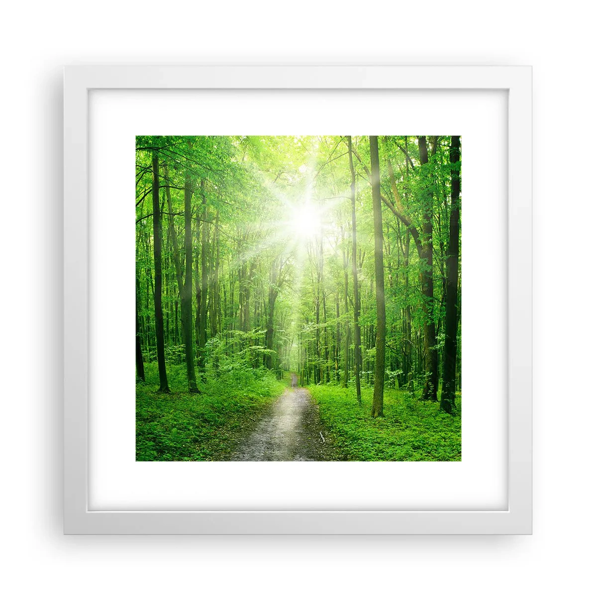 Poster in white frmae - Green Cathedral - 30x30 cm