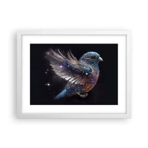 Poster in white frmae - Diamond Sparrow - 40x30 cm