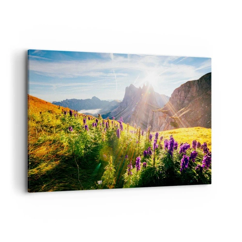 Canvas picture - Secret Life of Herbs - 120x80 cm