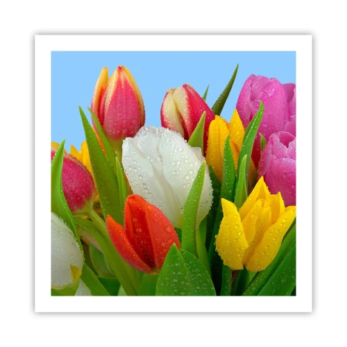 Poster - Floral Rainbow in Dew Drops - 60x60 cm