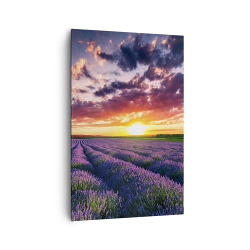 Canvas picture - Lavender World - 80x120 cm