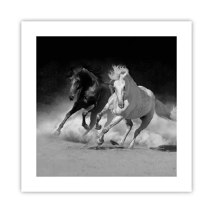 Poster - Gallop of Freedom - 40x40 cm