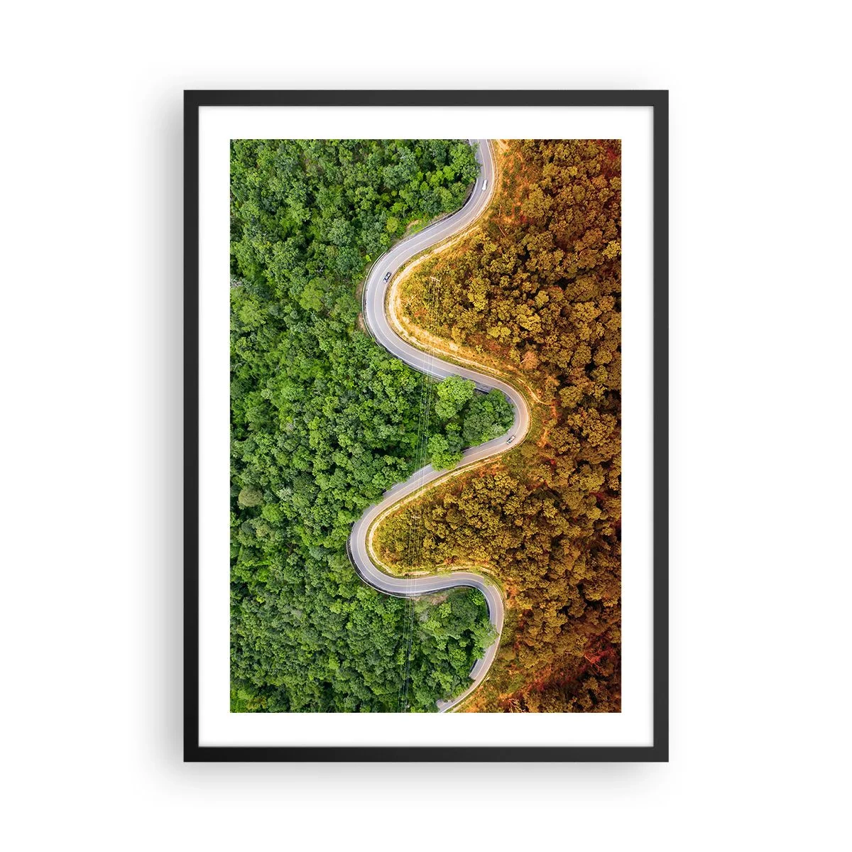 Poster in black frame - A road winding through a forest divided into green and autumn parts - 50x70cm - Borders and Breakthroughs - Modern wall decoration for the living room and bedroom ARTTOR