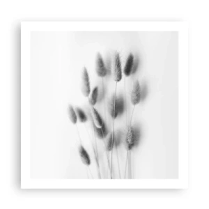 Poster - Her Softness Grass - 60x60 cm