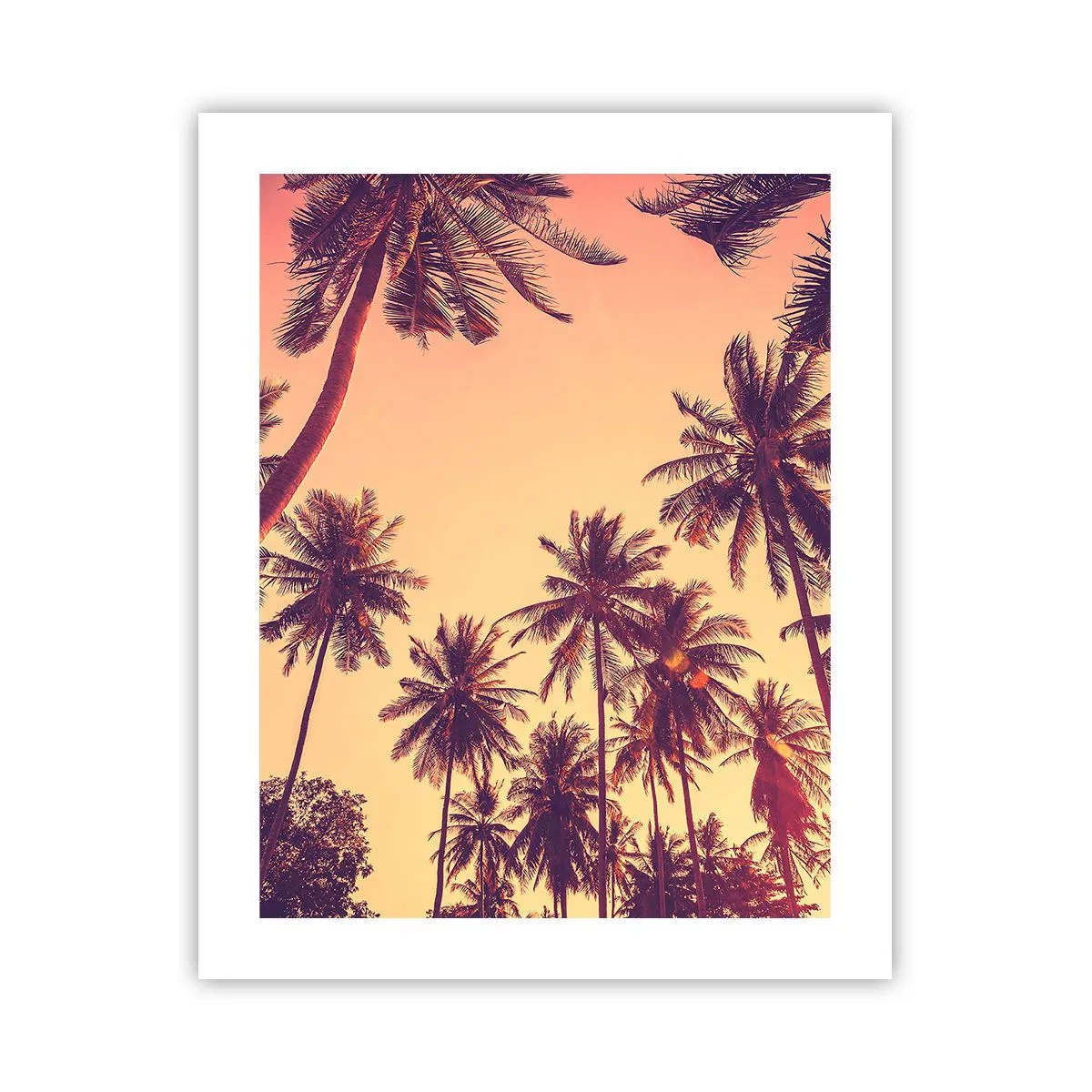 Poster - Tropical Variation - 40x50 cm