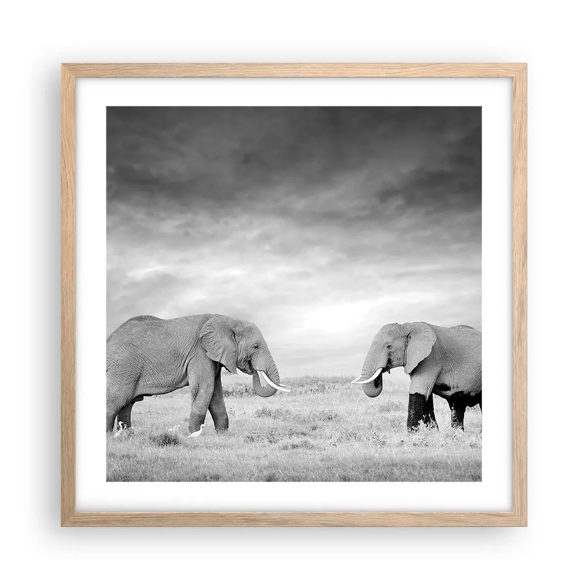 Poster in light oak frame - Grey Is Beautiful - 50x50 cm