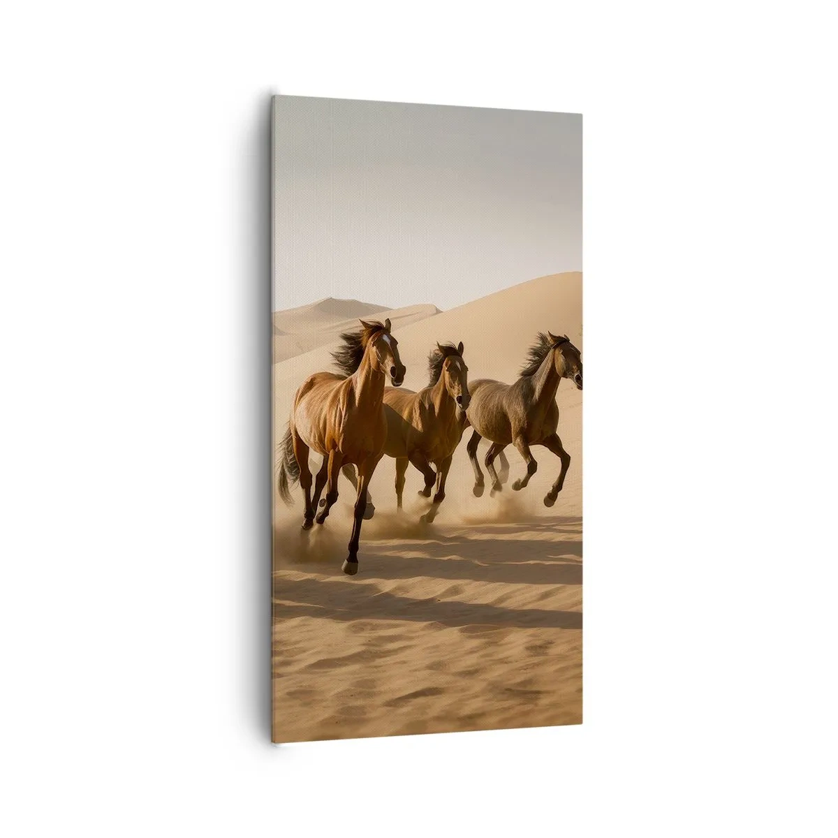 Canvas picture - Free as a Wind - 65x120 cm