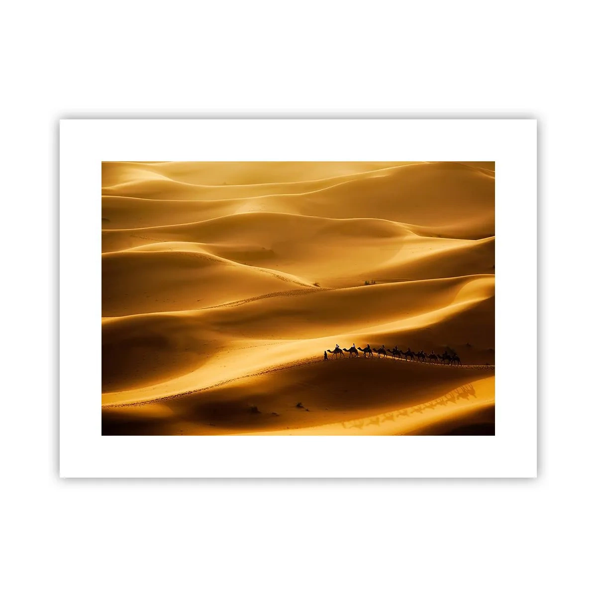 Poster - Caravan on the Waves of a Desert - 40x30 cm