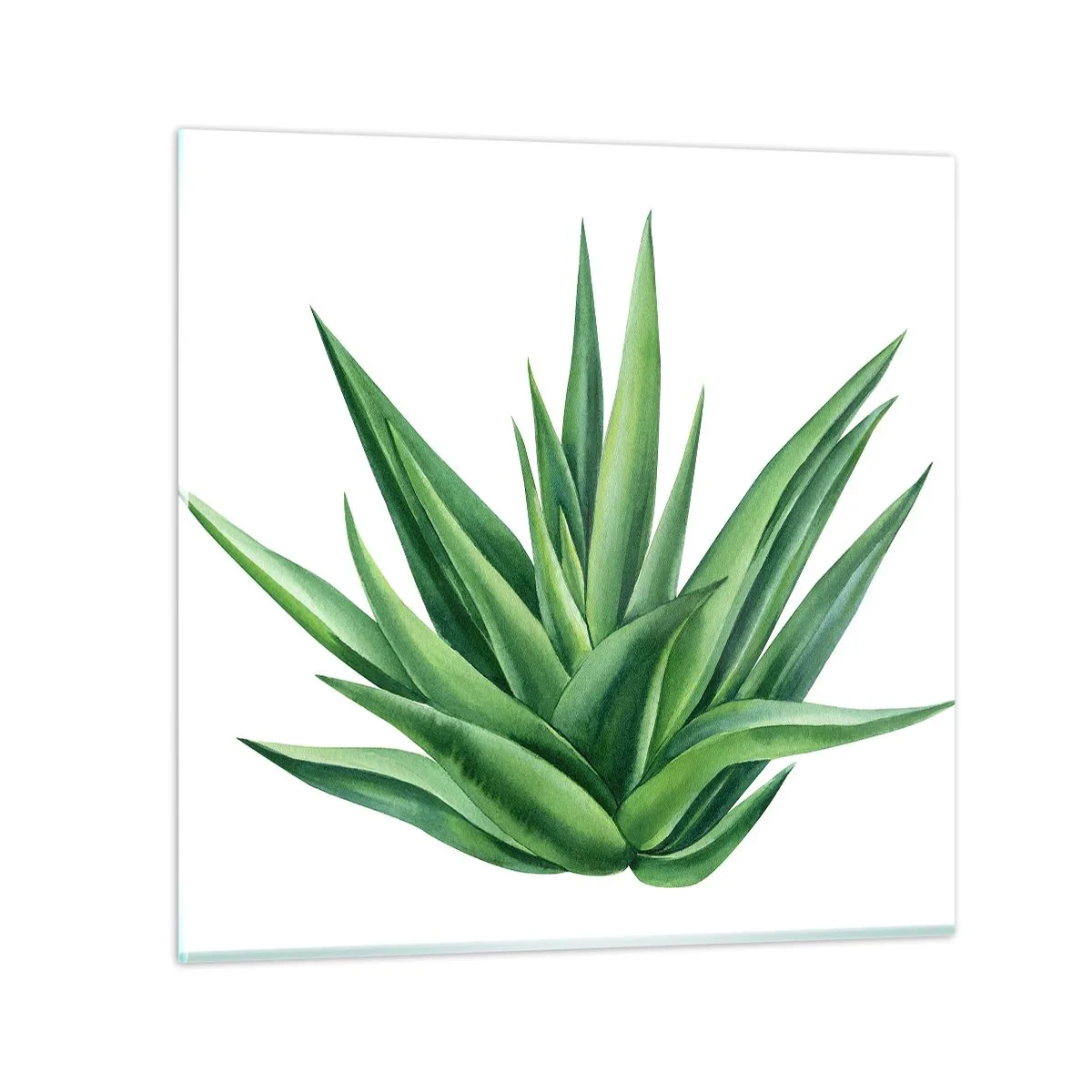 Glass picture - Green - Power - Life - 30x30 cm