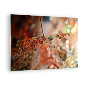 Glass picture - Water drops on a delicate spiderweb in bokeh light - 70x50cm - Strung on a Spider's Web - Modern wall decoration for the living room and bedroom ARTTOR