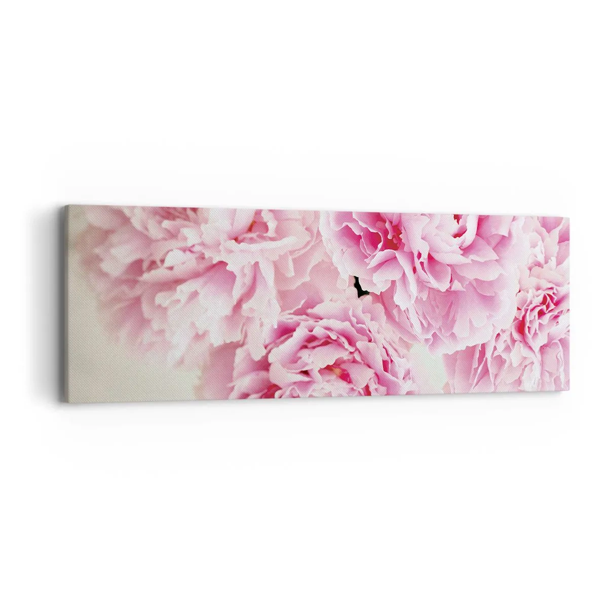 Canvas picture - In Pink Splendour - 90x30 cm