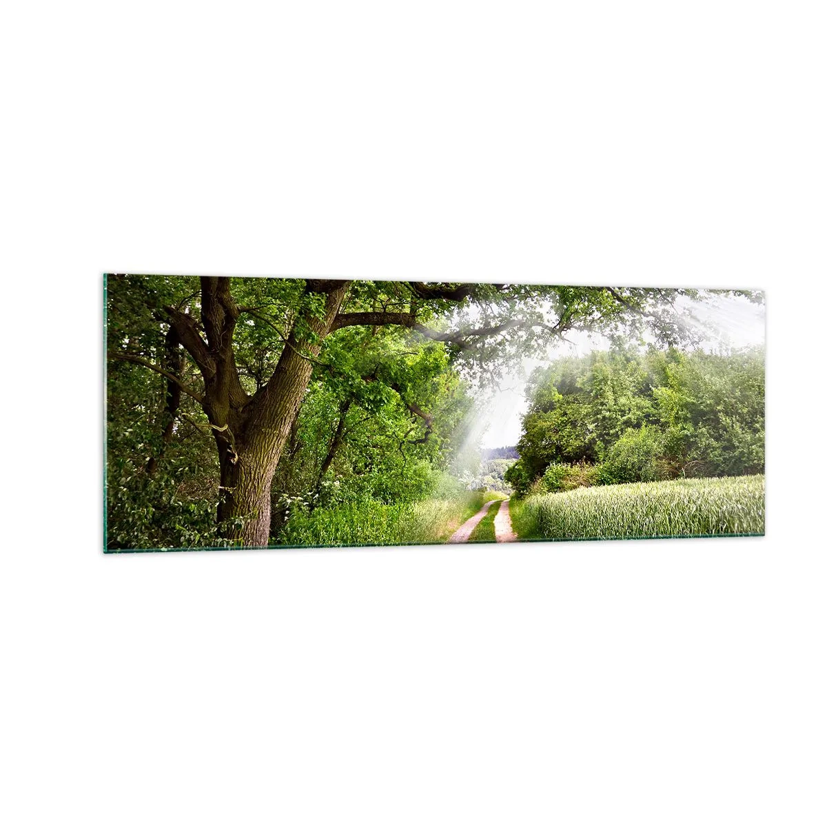 Glass picture - Et in Arcadia Ego - 140x50 cm