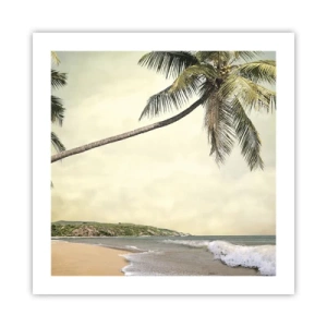 Poster - Tropical Dream - 50x50 cm
