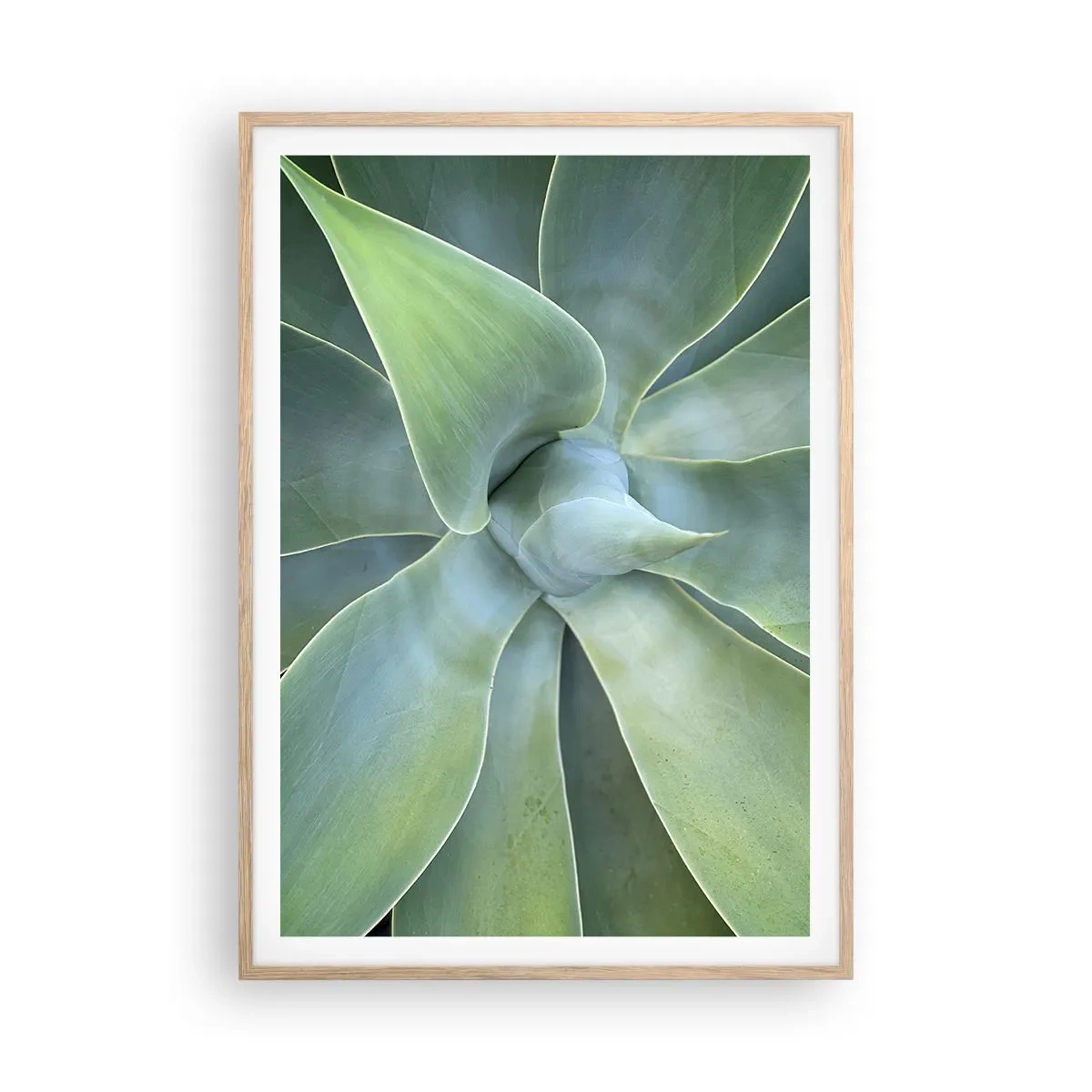 Poster in light oak frame - Birth of Green - 70x100 cm