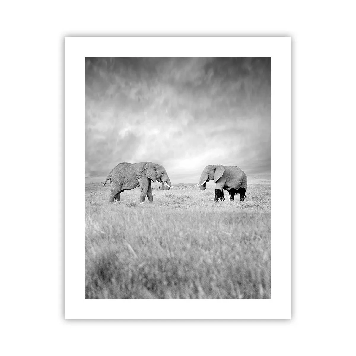 Poster - Grey Is Beautiful - 40x50 cm