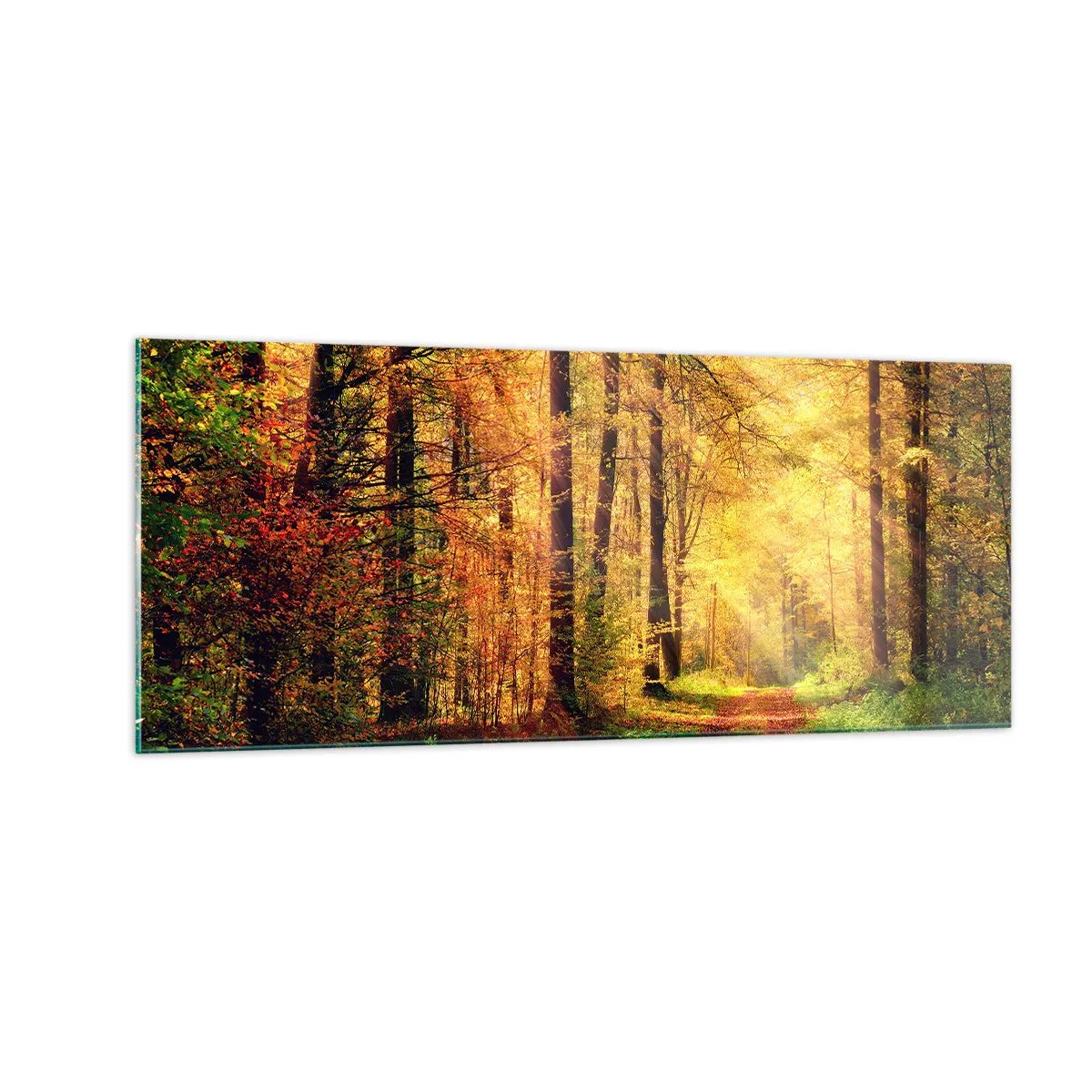 Glass picture - Forest Golden silence - 100x40 cm