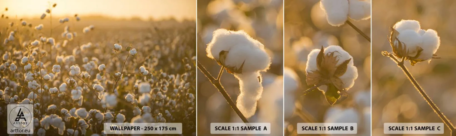 Photo Wallpaper Sample Self-Adhesive Deluxe Sticker - Fluffy Field - Cotton Field, Asia, Nature - 100x30 cm