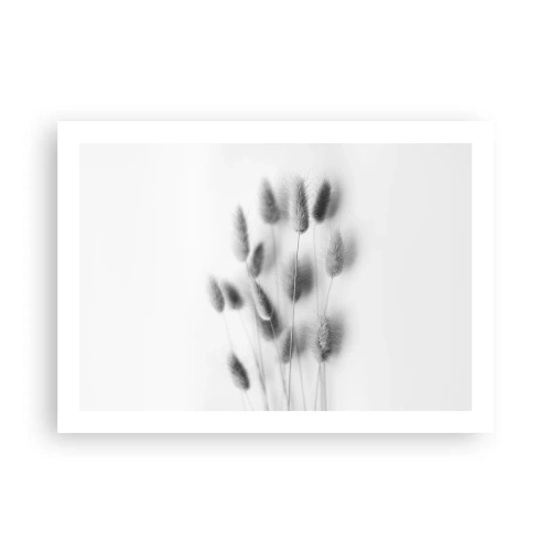Poster - Her Softness Grass - 70x50 cm
