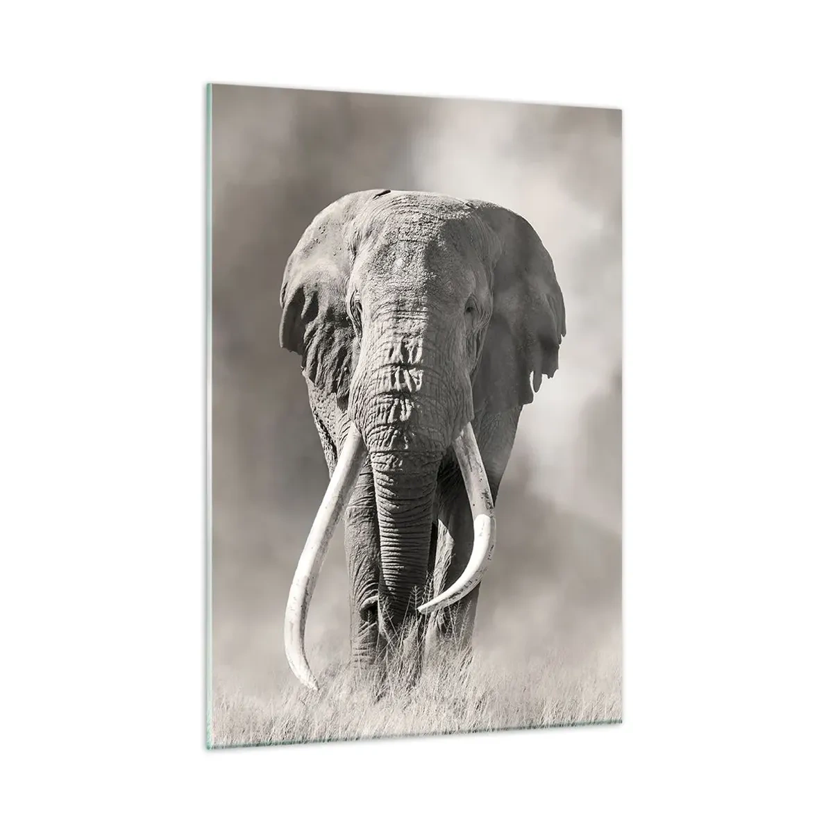 Glass picture - African Patriarch - 50x70 cm