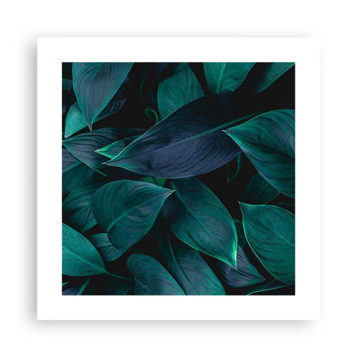 Poster - The Green Itself - 40x40 cm