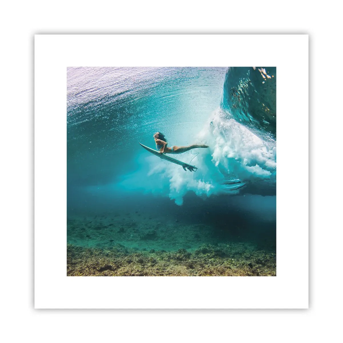 Poster - Undewater World - 30x30 cm