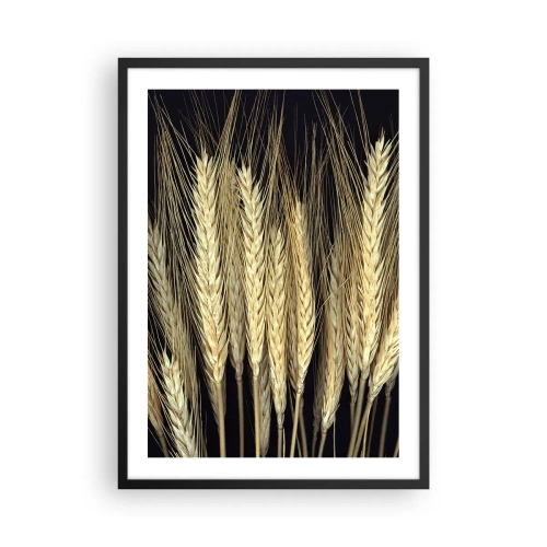 Poster in black frame - Close-up of wheat ears against a black background - 50x70cm - Rustic Magic - Modern wall decoration for the living room and bedroom ARTTOR