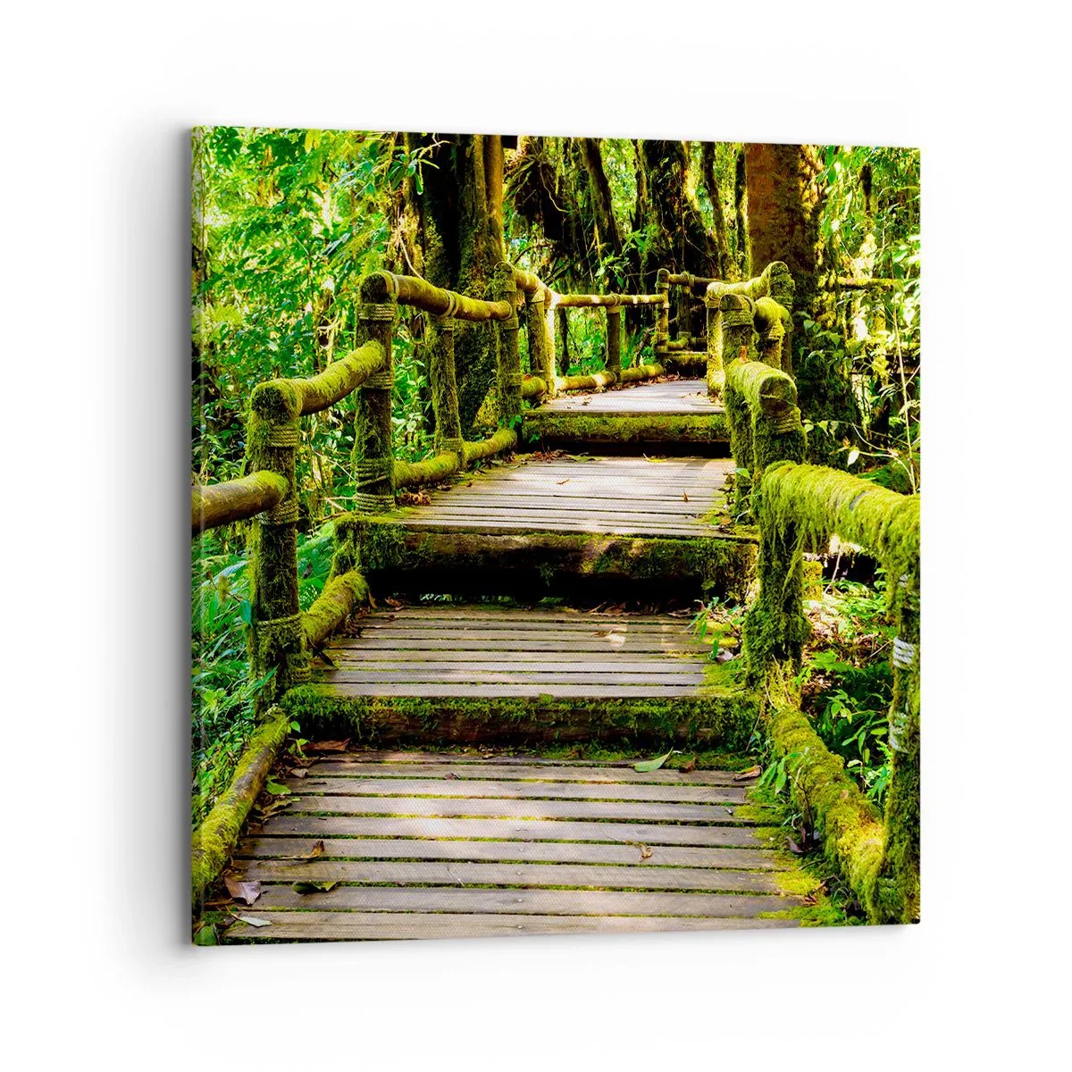 Canvas picture - Down the Green Path - 70x70 cm