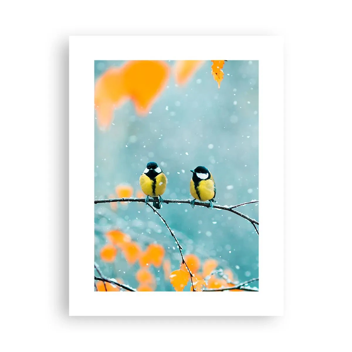 Poster - Birdy Gossip - 30x40 cm