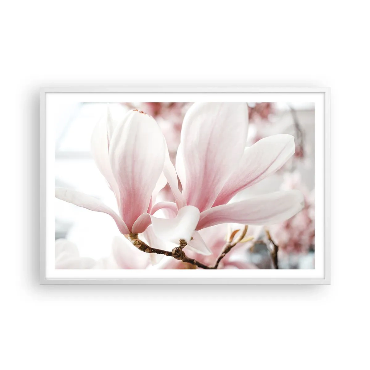Poster in white frmae - Immensity of Tenderness - 91x61 cm