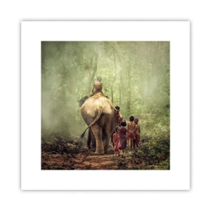 Poster - New Jungle Book - 30x30 cm