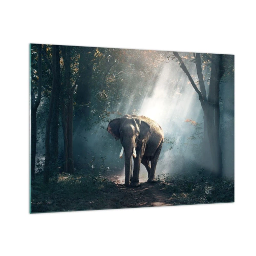 Glass picture - Quiet Stroll - 100x70 cm