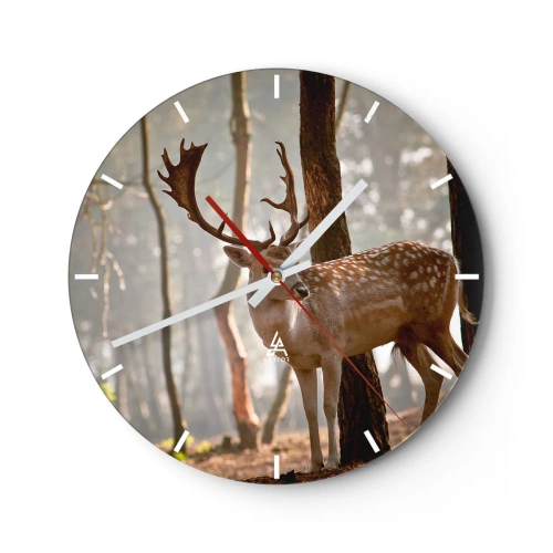 Wall clock - Clock on glass - Deer basking in the sun's rays against a forest landscape - 30x30cm - Light of Youth - Modern wall decoration for the living room, kitchen, and bedroom ARTTOR