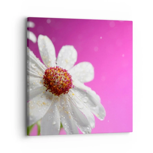Canvas picture - Modest in Its Beauty - 30x30 cm