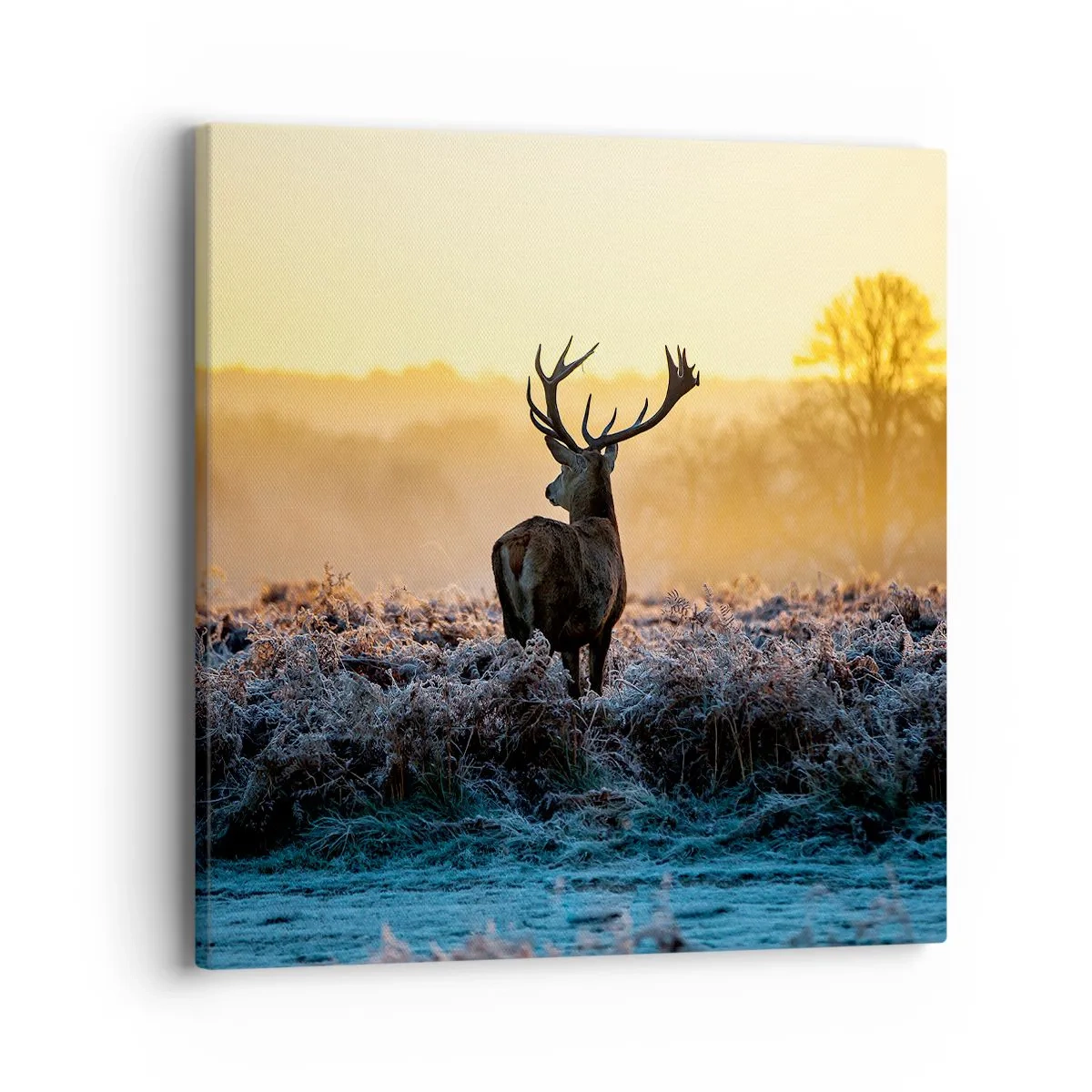 Canvas picture - Crowned in Its Kingdom - 40x40 cm