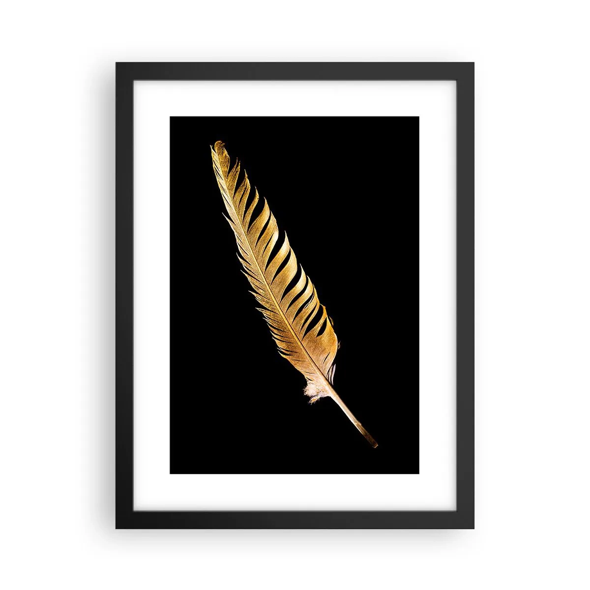 Poster in black frame - High-Class Feather - 30x40 cm