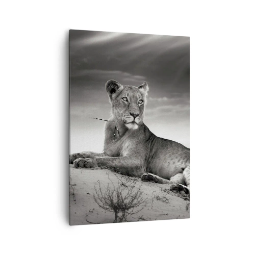 Canvas picture - Queen of Desert Is Resting - 70x100 cm