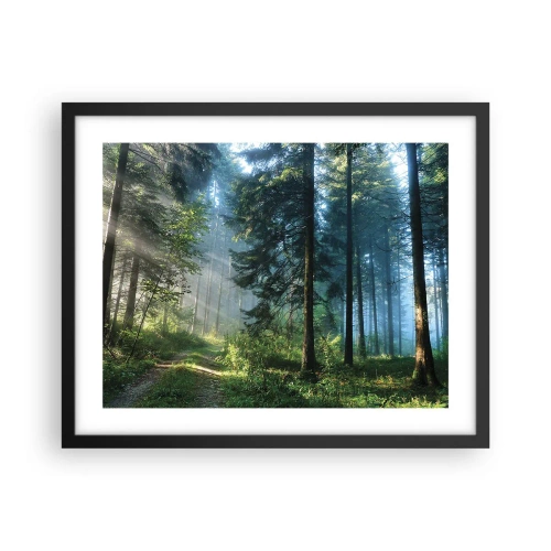 Poster in black frame - Radiant at Dawn - 50x40 cm