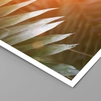 Unframed