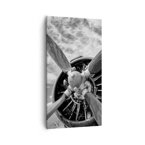 Canvas picture - Conquerer of the Skies - 55x100 cm